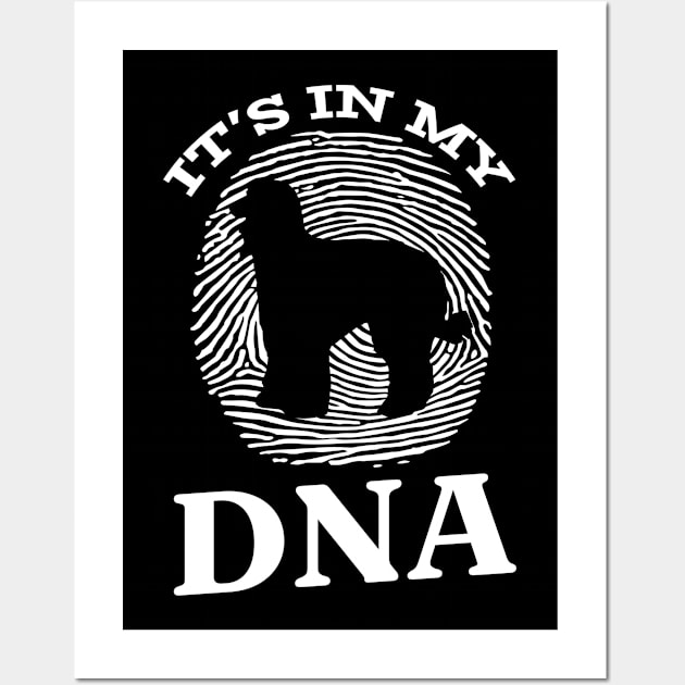 Afghan Hound It`s In My DNA Fingerprint I Dog I Afghan Hound Wall Art by Shirtjaeger